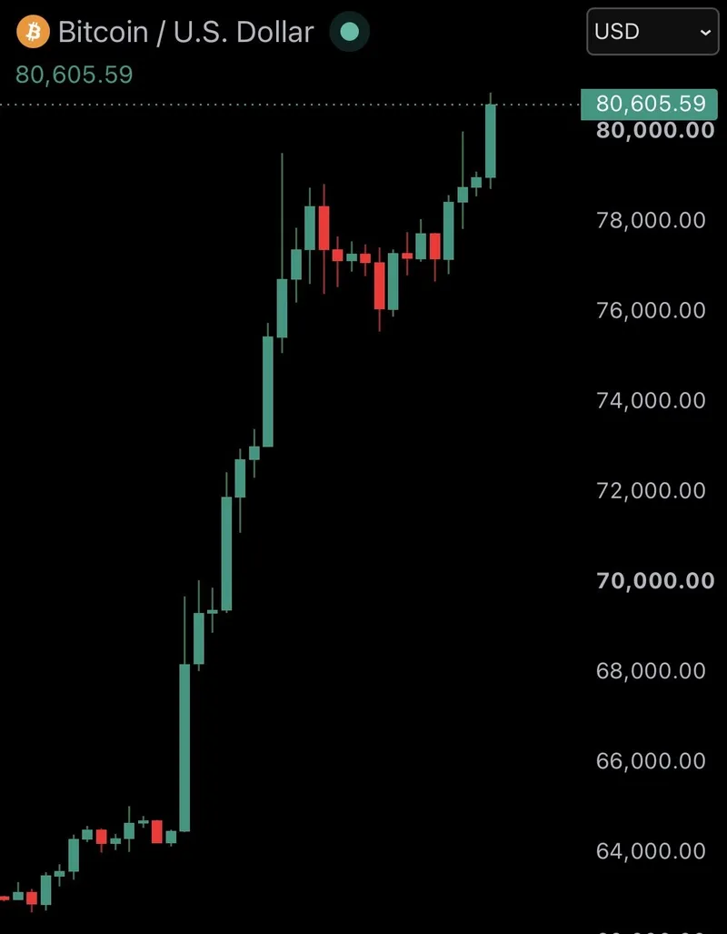 Bitcoin supera los USD 80.000 por primera vez