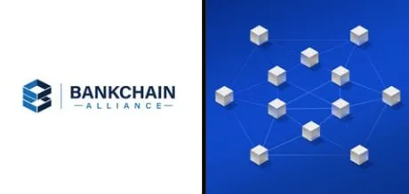 BankChain agrupa a 3.283 bancos de EE. UU