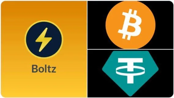 ⛔️El servicio de intercambio de bitcoin y stablecoins en Lightning Network, Boltz, pausó sus operaciones de forma…