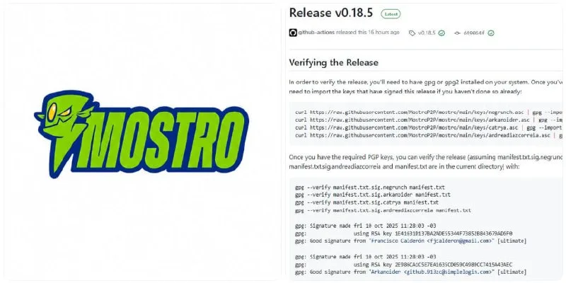 Mostro lanza la versión 0.18.5 con parches de seguridad