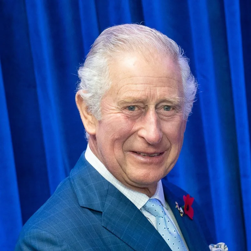 El Rey Carlos III advierte sobre los peligros de la IA