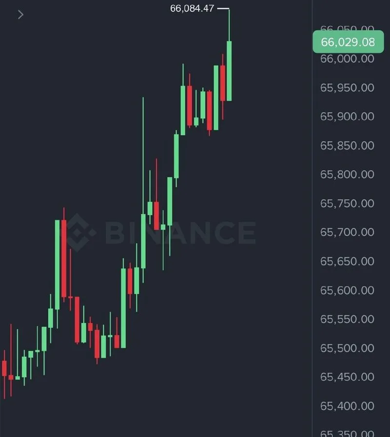 Bitcoin a $66.000