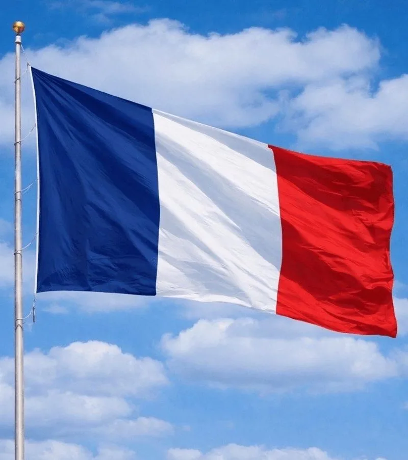 🇫🇷 Francia prohíbe las redes sociales a niños menores de 15 años.