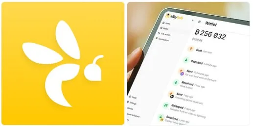 Alby Hub detecta vulnerabilidad crítica en Lightning