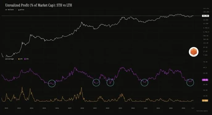 Ganancias no realizadas de Bitcoin alcanzan 38%