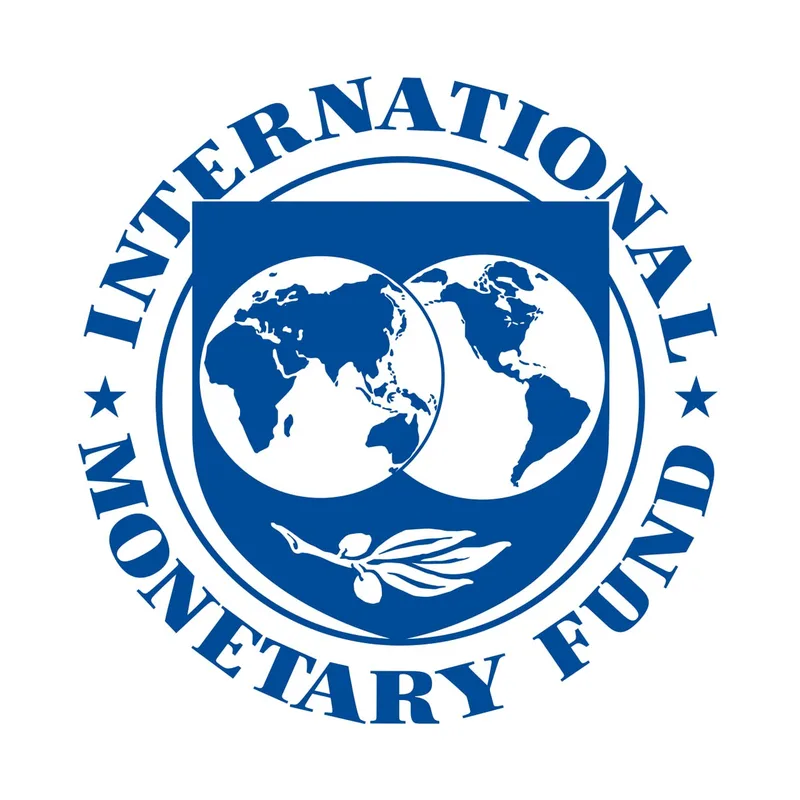 El FMI advierte sobre la volatilidad de los mercados tokenizados