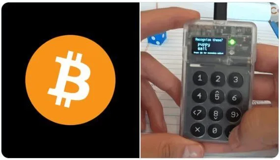 El Bitcoin Red Team detectó casi 5.000 vulnerabilidades en 390 proyectos del ecosistema. Esta revisión intensiva…